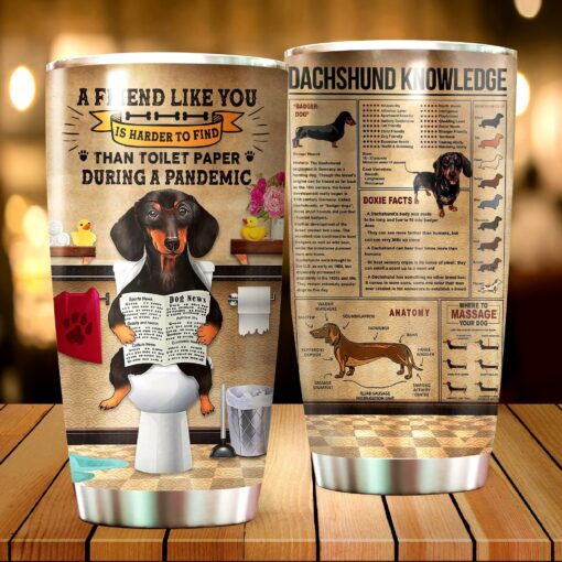 A Friend Like You Tumbler For Dachshund Lovers - artsywoodsy