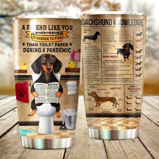 A Friend Like You Tumbler For Dachshund Lovers - artsywoodsy